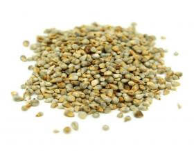 MILLET GRAINS