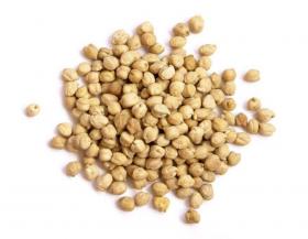 CHICKPEAS 36/38/40/42/44